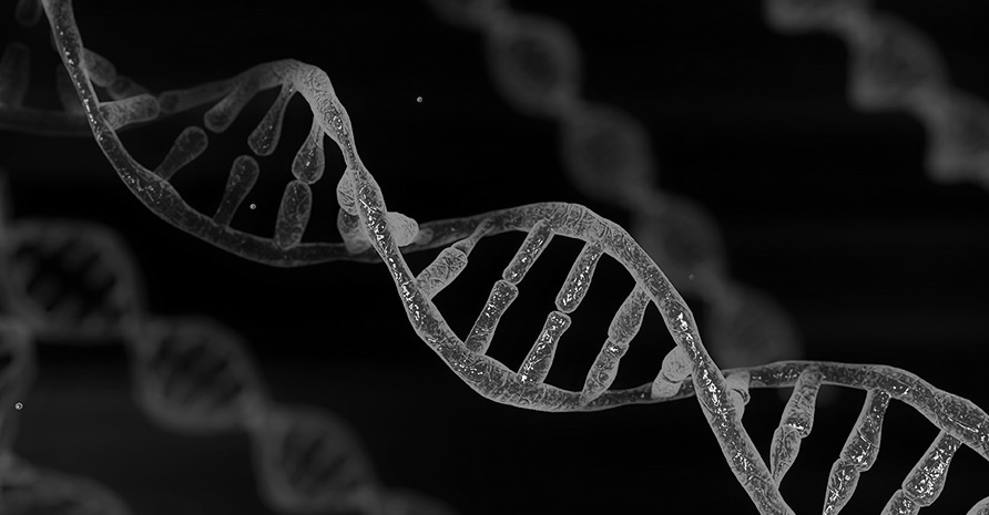 Black and white image of a DNA strand